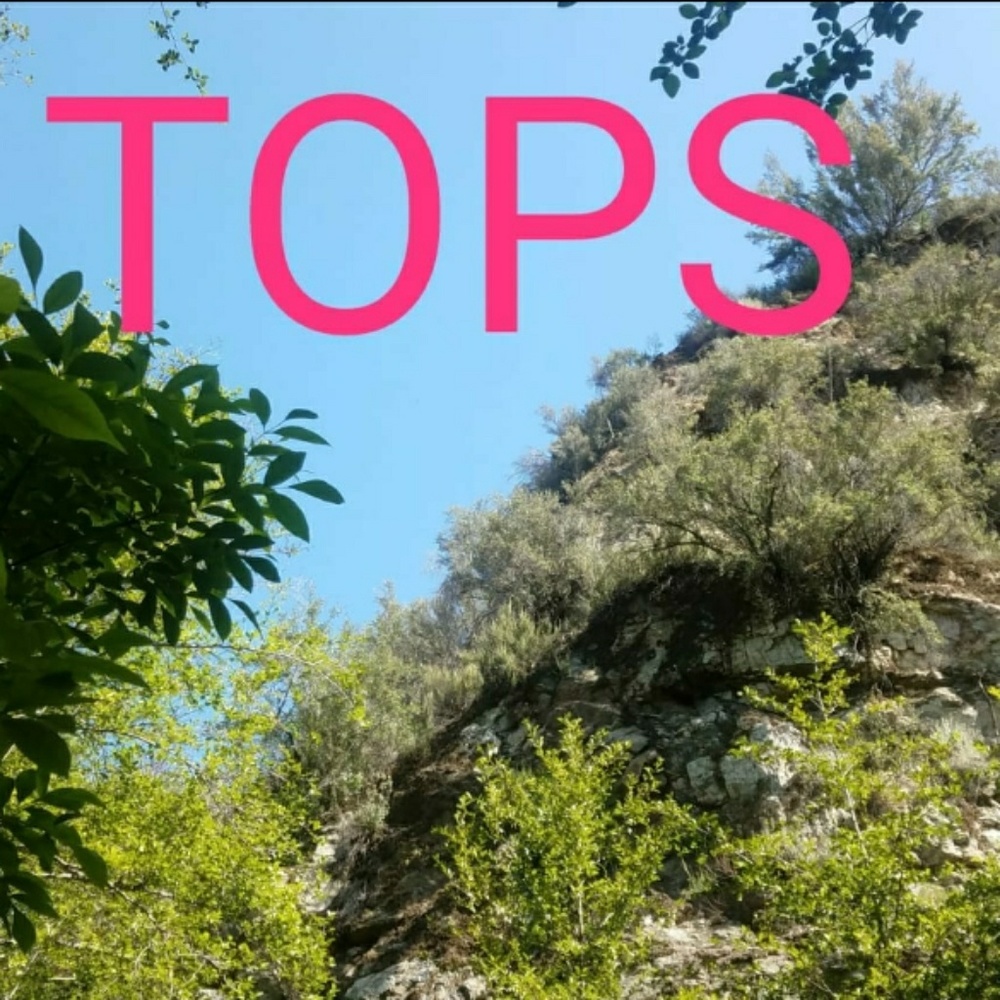 Tops, blouses, ect...